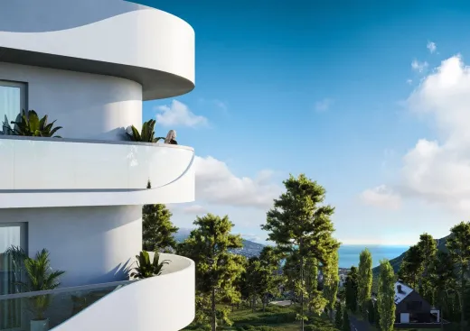 COSMOS STAY HIDDEN YALTA