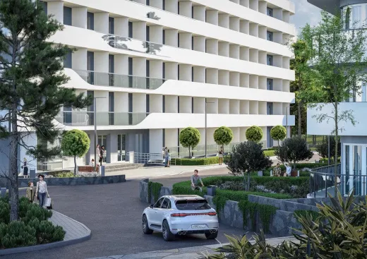 COSMOS STAY HIDDEN YALTA