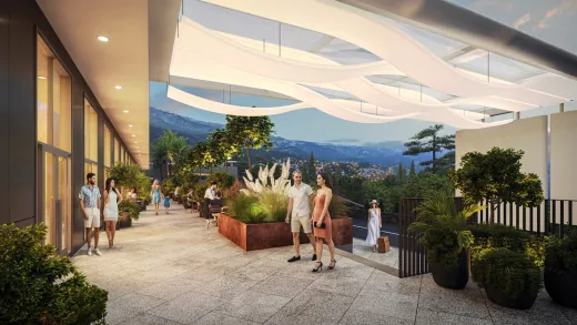 COSMOS STAY HIDDEN YALTA