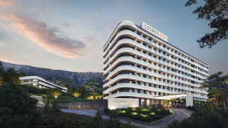 COSMOS STAY HIDDEN YALTA