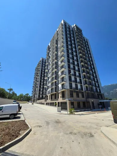 Бакунинский