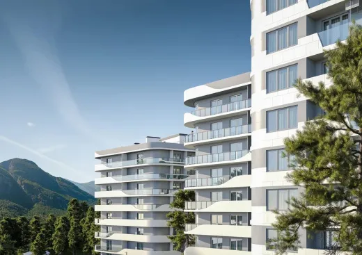 COSMOS STAY HIDDEN YALTA