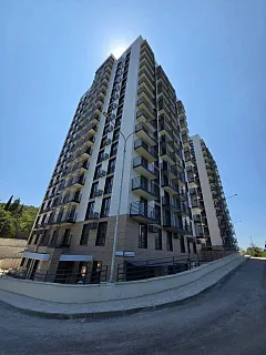 Бакунинский