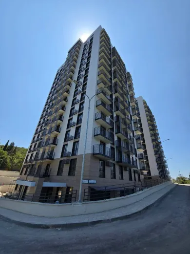 Бакунинский