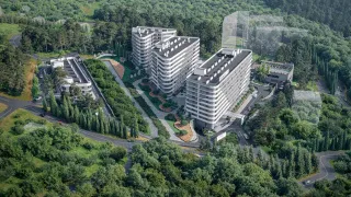 COSMOS STAY HIDDEN YALTA