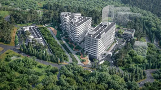 COSMOS STAY HIDDEN YALTA