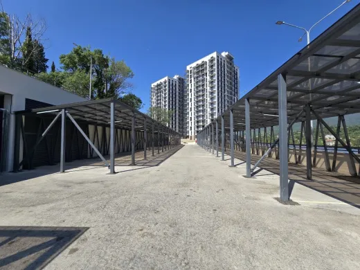 Бакунинский