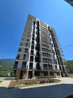 Бакунинский