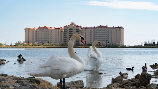 Апартаменты 1-комн. 45.5 кв.м