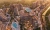 Апартаменты 2-комн. 41.9 кв. м
